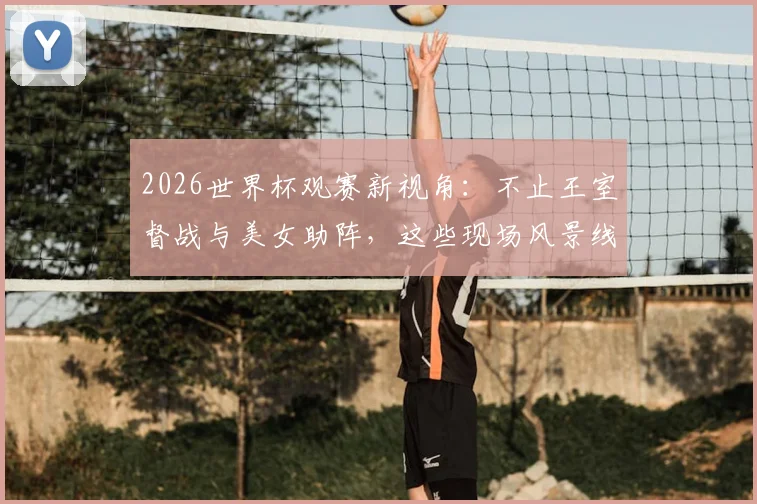 2026世界杯观赛新视角:不止王室督战与美女助阵,这些现场风景线更值得关注